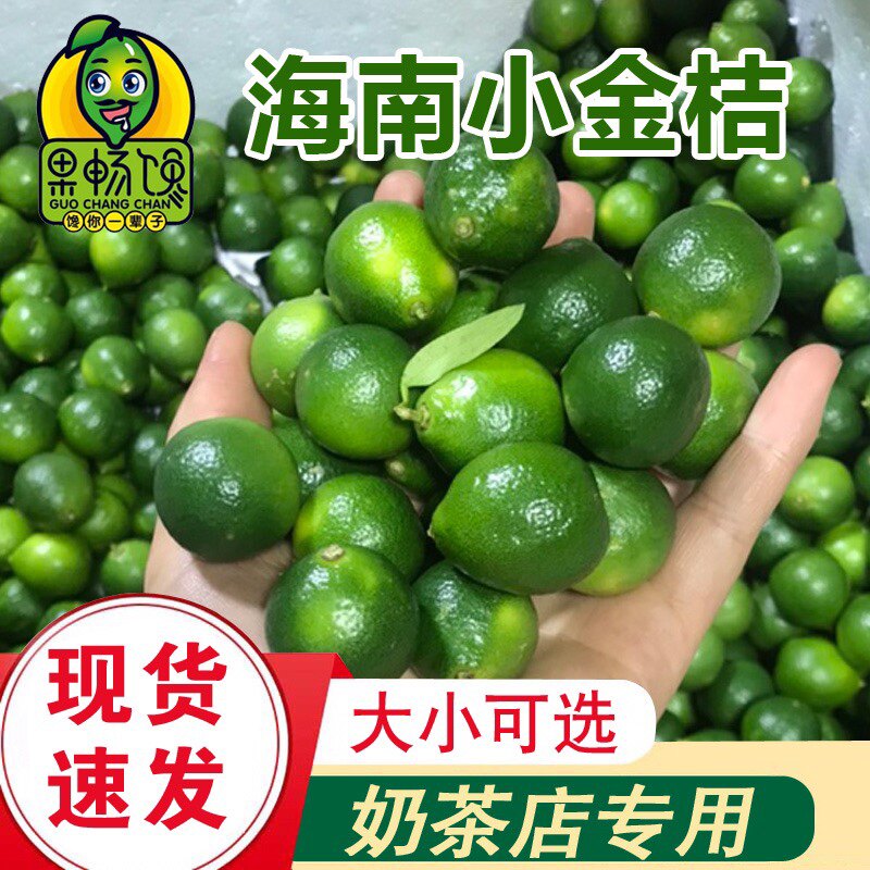 新鲜水果青金桔海南小青桔金桔柠檬主打奶茶店2斤5斤包邮