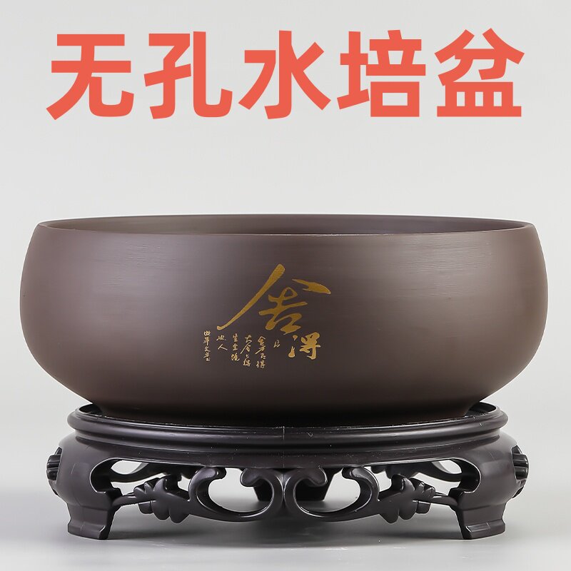 速发睡碗莲专用盆缸铜钱草一叶莲水仙花盆金钱草水培植物无孔陶瓷