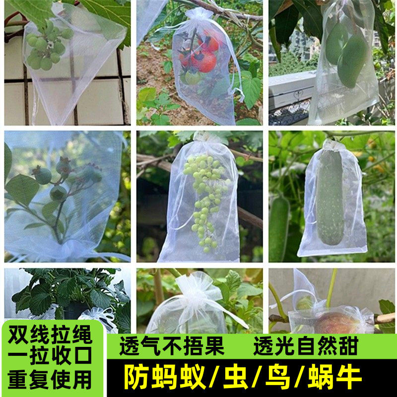 速发水果套袋果树防鸟防虫网袋火龙果葡萄无花果石榴保护桃子袋青