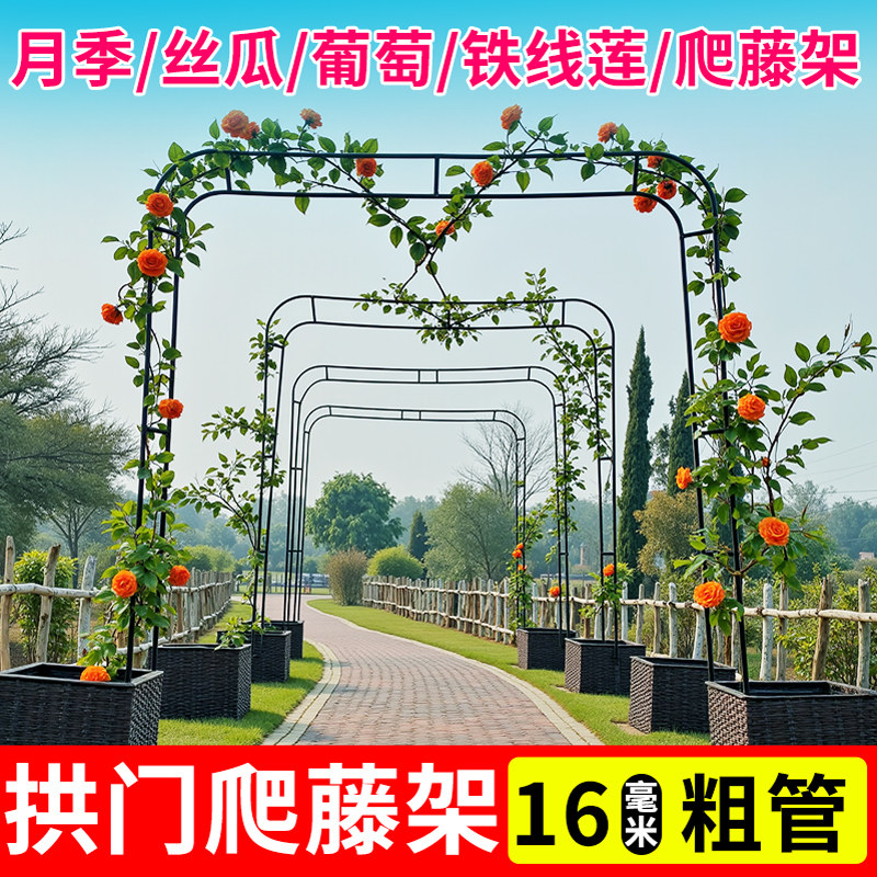 速发拱门花架爬藤架月季蔷薇攀爬铁艺支架葡萄架支撑杆子楼顶种菜