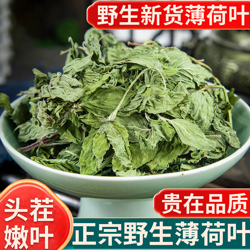 分装采收袋装薄荷叶清洗叶子500g新鲜干薄荷梗薄荷叶薄何茶