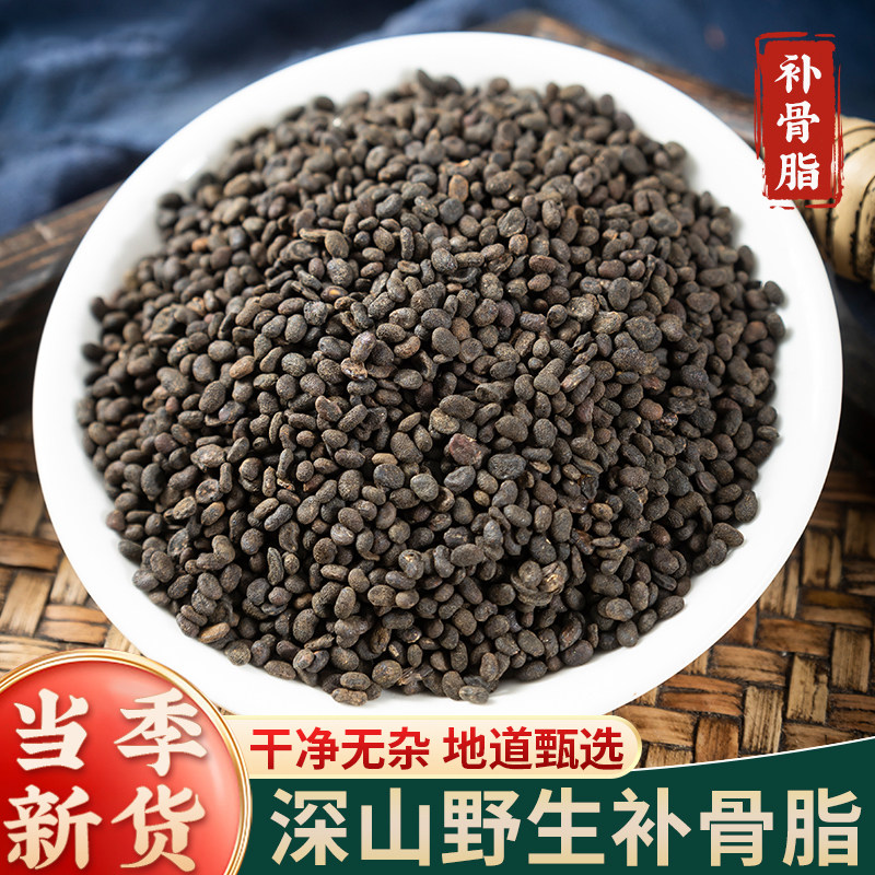 补骨脂500g新黑故子中药补骨子新鲜干磨粉