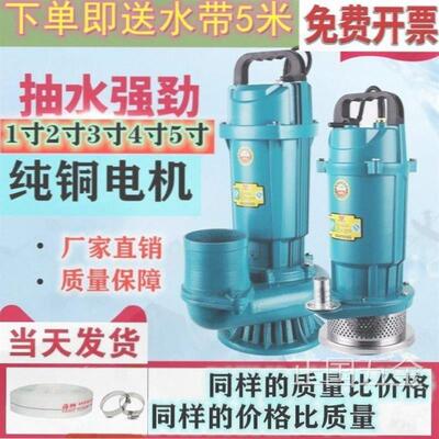 德国小型380潜水抽水机三相水泵水泵单相潜水泵220高扬程大流量