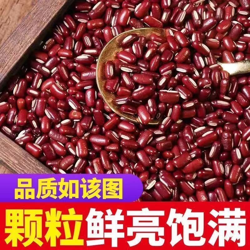 散装东北长粒赤小豆新晾晒赤豆当季长粒大全薏仁米红小豆芡实茶