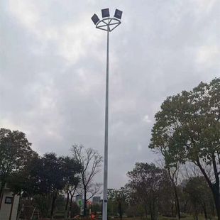 高桿燈戶外球場燈桿6米8米雙頭3頭投光燈led路燈廣場照明藍球場燈