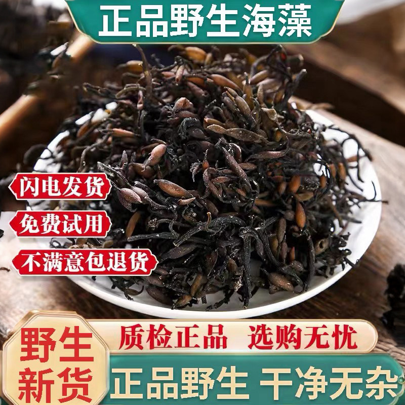 分装清洗海藻500g袋装海藻干落首乌菜海藻花海藻粉海带花粉