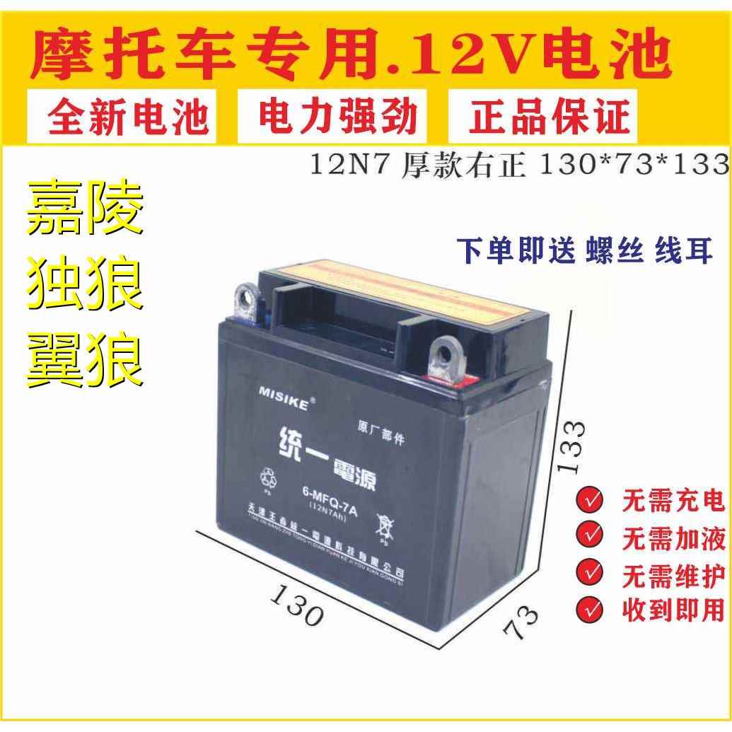适用嘉陵独狼翼狼150-6摩托车电瓶127电瓶免维护电池