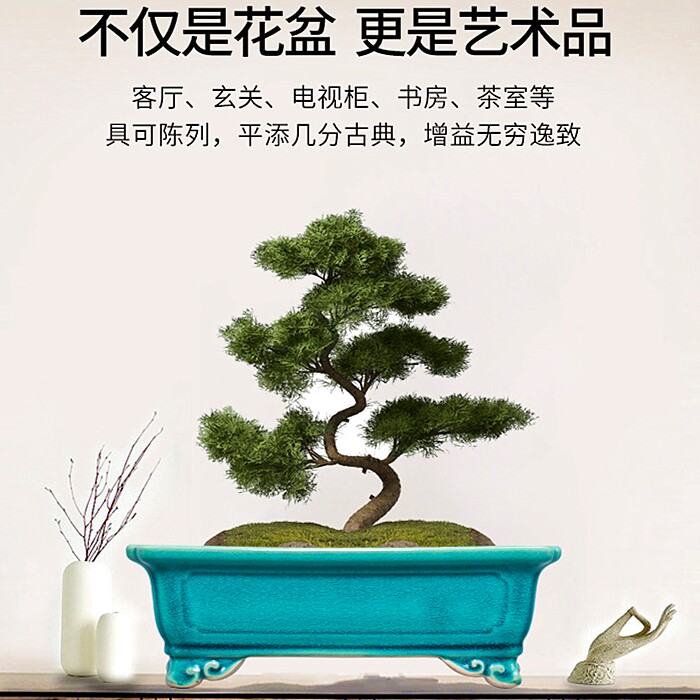 速发高端花盆陶瓷长方盆景盆紫砂有孔仿古中国风阳台办公桌面多肉