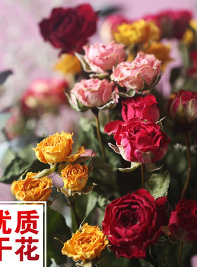 天然玫瑰干花花束多头泡泡玫瑰花风干真花装饰摆件餐客厅卧室饰品