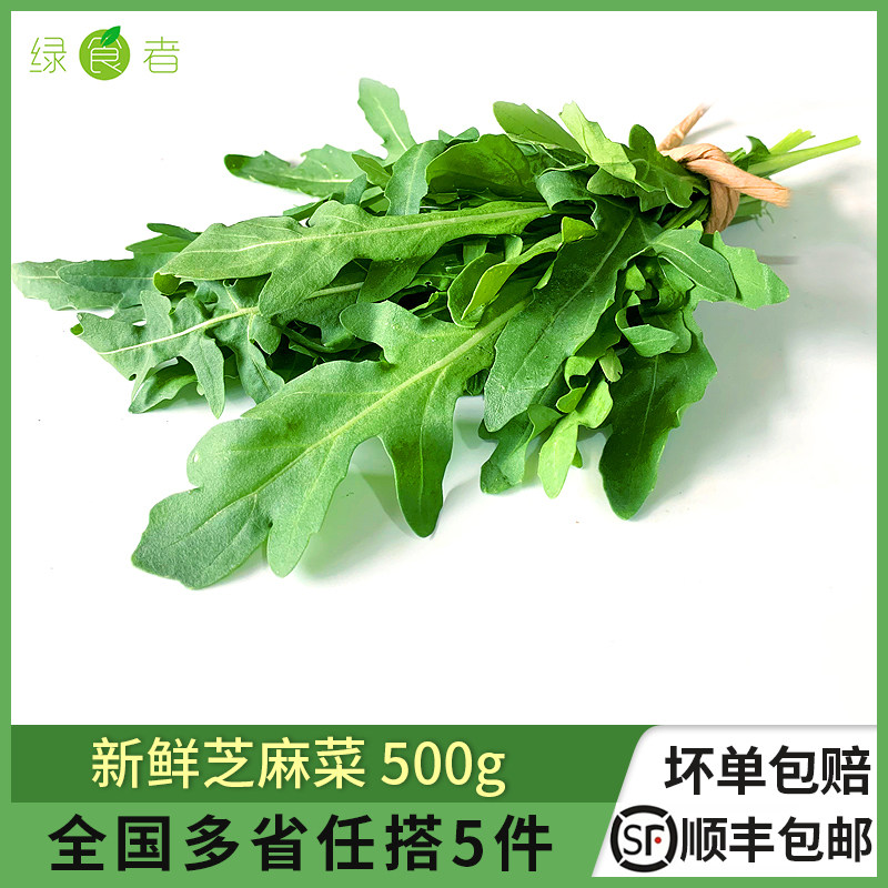 芝麻菜500g 德国芥菜 火箭菜 新鲜蔬菜西餐蔬菜沙拉食材