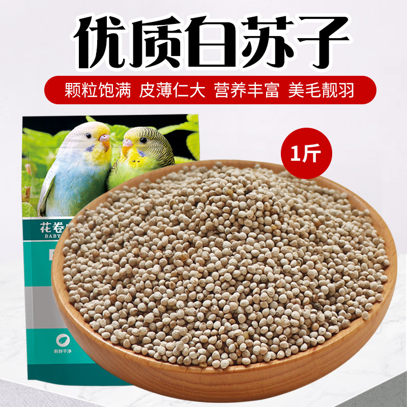 速发苏子鸟食新白苏子鸟粮鹦鹉玉鸟芙蓉鸟金丝雀黄雀薄皮软苏子50
