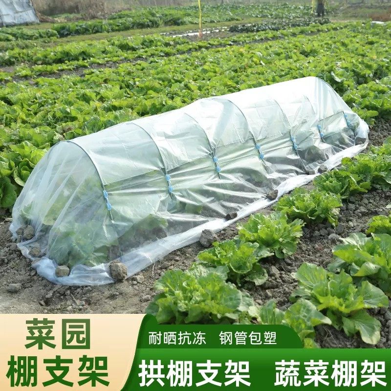 速发大棚包塑钢管支架可搭配遮阳防虫网阳台暖房多肉花卉蔬菜保温