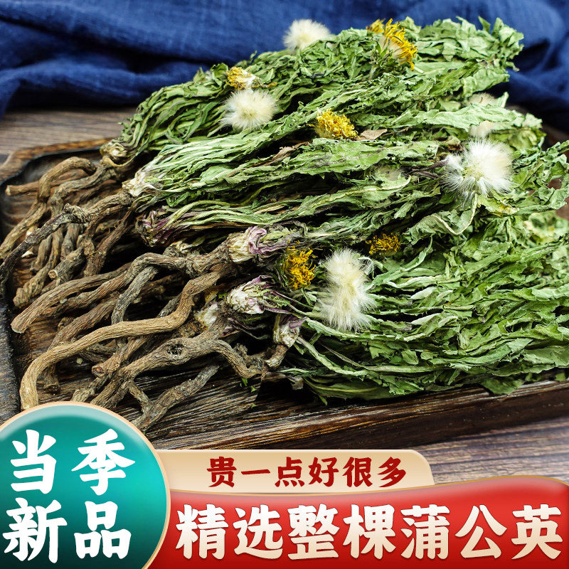 蒲公英组合装自产新鲜干当季婆婆丁散装浦公英整株带根泡茶泡水