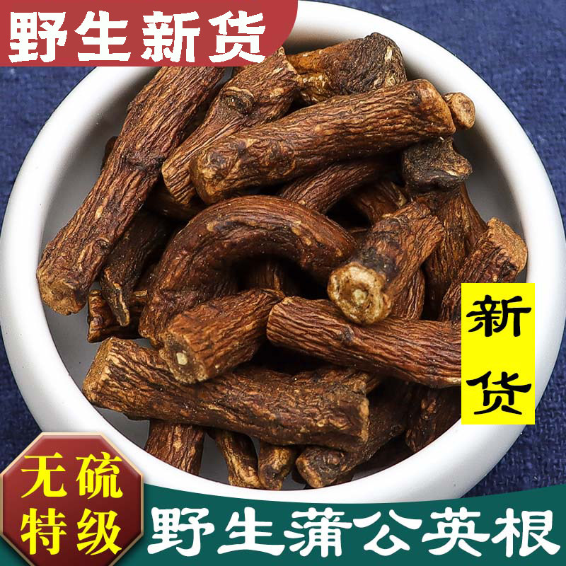 原料大全蒲公英根新散装500g晾晒公英根茶新鲜蒲公英整根干