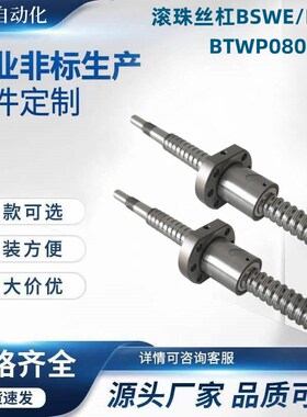 滚珠丝杠BSWeE/BTWE/BTWP0802 1002 1204 1510 1520 2010 2510 05
