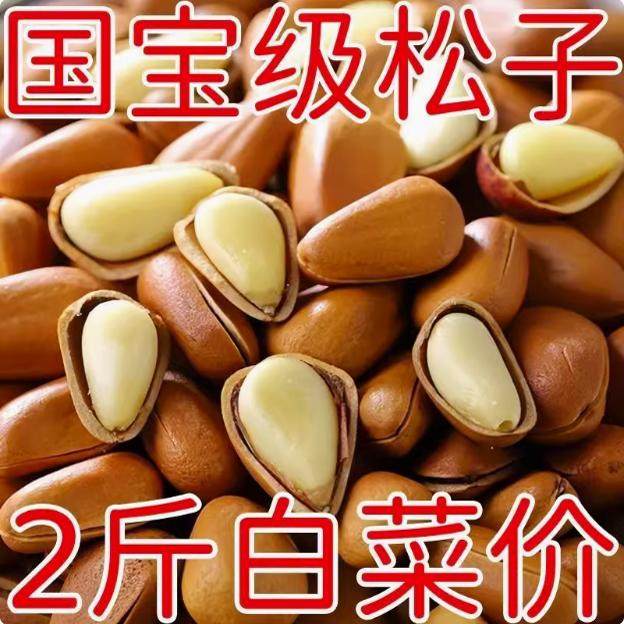 2024新货东北松子开口坚果干果特大颗粒特新鲜级手剥红松批发零食
