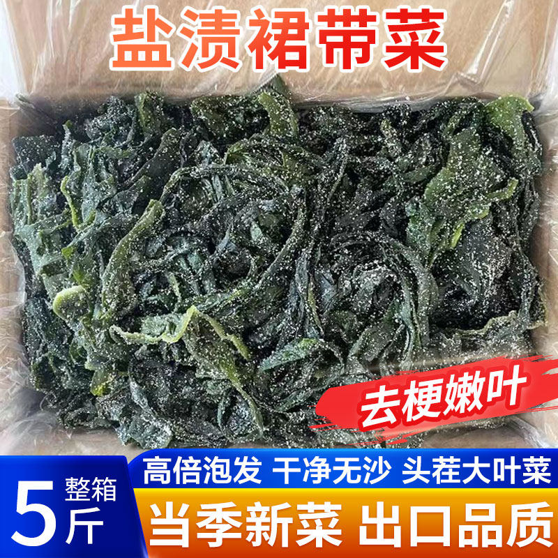 大连特产盐渍裙带菜半干货5斤海带嫩苗丝海白菜非特级脂肪0旗舰店