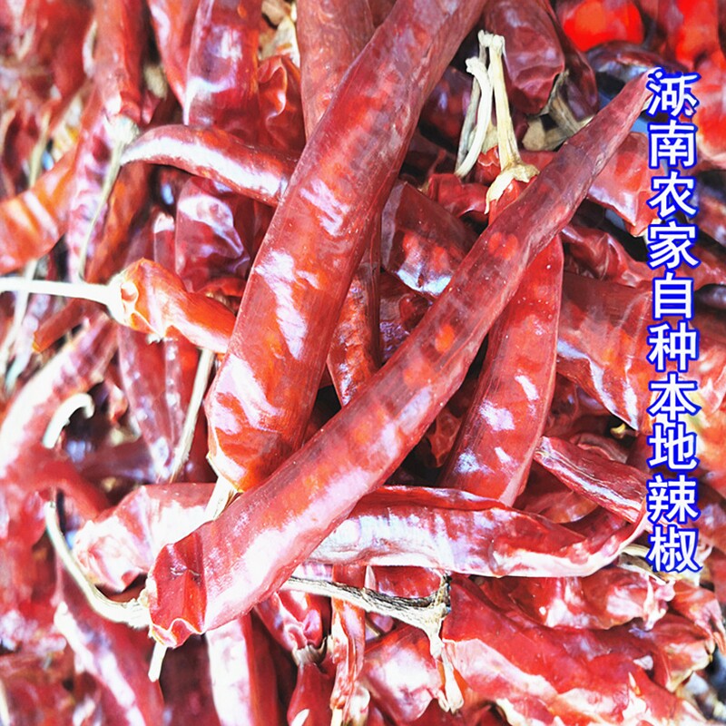 湖南干辣椒湖南辣椒怀化特产农家自种晒干微香辣会同红辣椒二荆条
