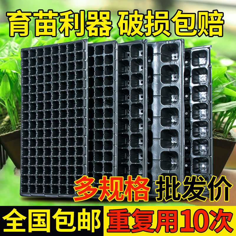 速发育苗盘营养钵穴盘塑料杯种植神器育苗专用杯蔬菜育种农用育苗