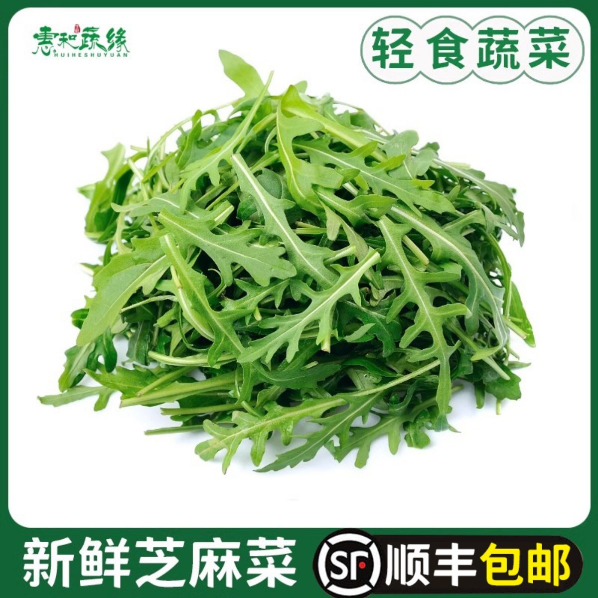 芝麻菜新鲜芝麻叶沙拉蔬菜食材轻食西餐生菜食用火箭菜包邮