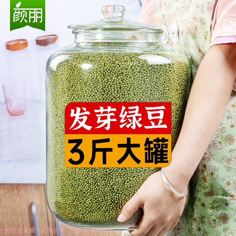 云南产发芽绿豆罐装3斤 品牌煮粥用绿豆 绿豆芽菜专用豆子