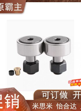 BPF21/22-d3-d4-d5-d6-d8-d10-d12-d20-d24-d30-PP凸轮轴承随动器