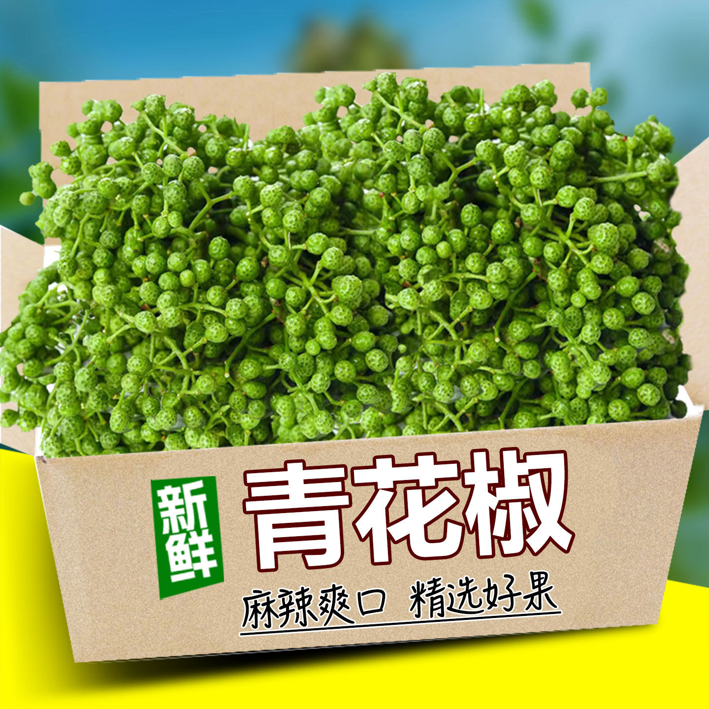 青花椒新鲜青花椒江津九叶青花椒批发保鲜清花椒粒真空生麻椒嫩藤