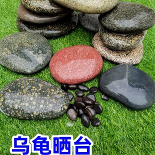 天然乌龟晒台高水位爬台鱼缸造景装饰石头五彩石子爬坡垫脚石头