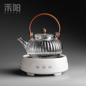 速发禾阳 玻璃提梁煮茶壶大容量烧水壶家用耐热茶具电陶炉煮茶器