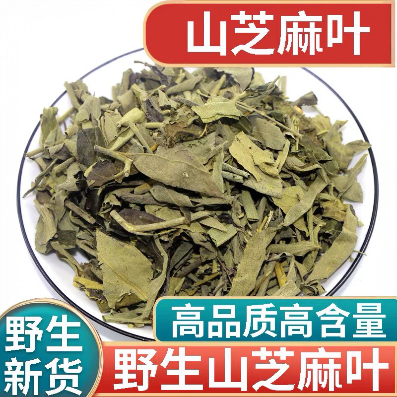 晾晒广西原料散装山芝麻叶新当季500g大全新鲜干小山芝麻叶