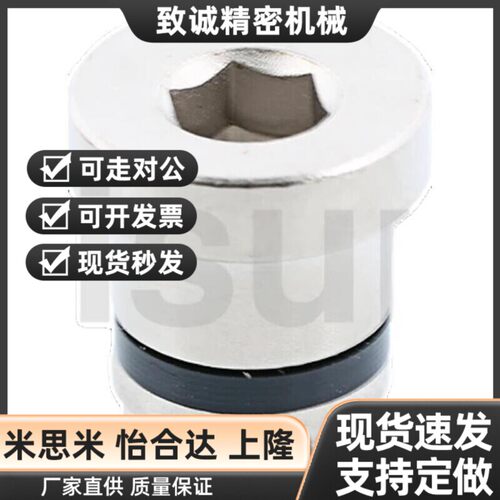 替代直线导轨用定位销LLT3.5 LLT5 LLTS5偏心销ICE11-T5不锈钢轴