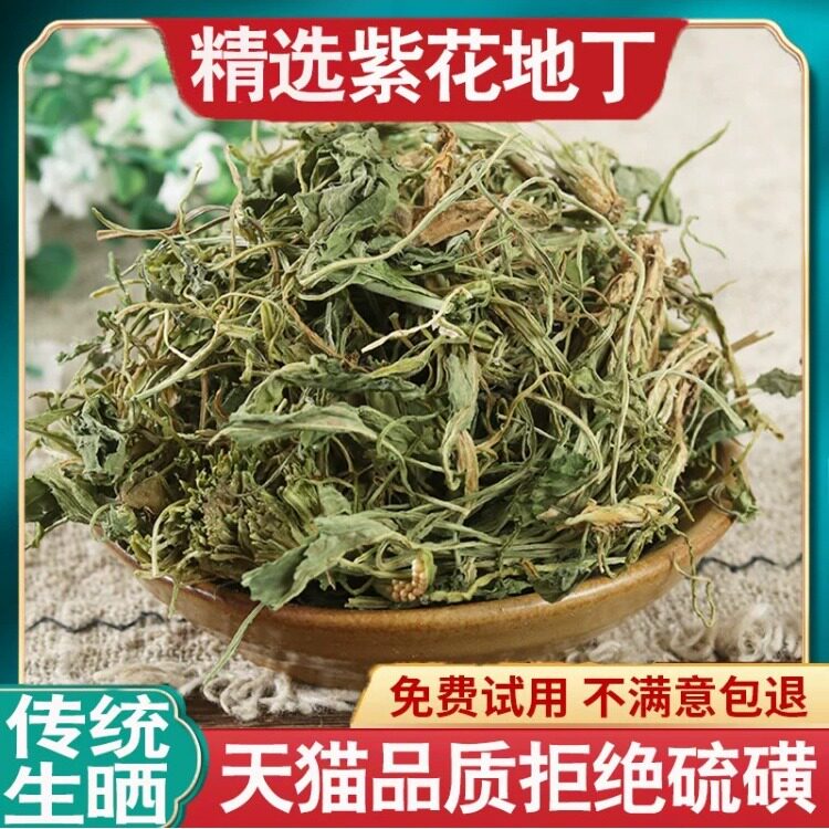 紫花地丁500g新新鲜晒干地丁草柴花苦地丁泡水煮水农产品
