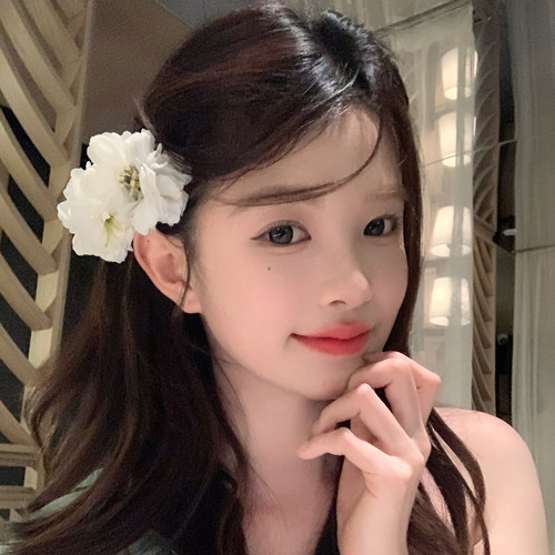 【我的脸很圆】氛围感淡雅花朵发饰小清新温柔芍药花小号抓夹发饰