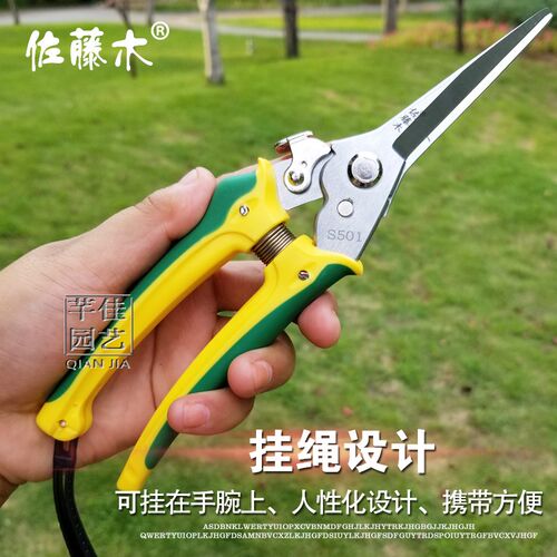 台湾佐藤木S501稀果修果剪摘果剪葡萄修枝专用剪刀疏花疏果剪子采