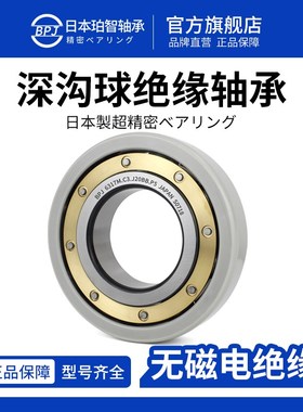BPJ日本原装进口轴承6314M铜保深沟球轴承6317绝缘轴承型号大全