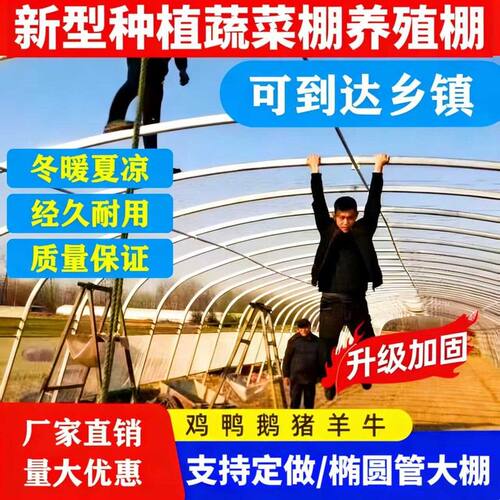 温室大棚骨架钢管养殖种植家用全套猪鸡舍钢架连栋大棚简易蔬菜棚