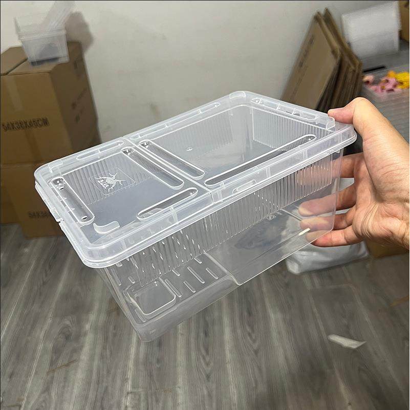 爬虫饲养盒爬宠箱蚕宝宝蜘蛛角蛙守宫盒蜥蜴宠物蛇寄居蟹昆虫龟苗,宠物/宠物食品及用品,玩具/造景装饰,淘宝优惠券,粉丝福利购,淘宝优惠卷