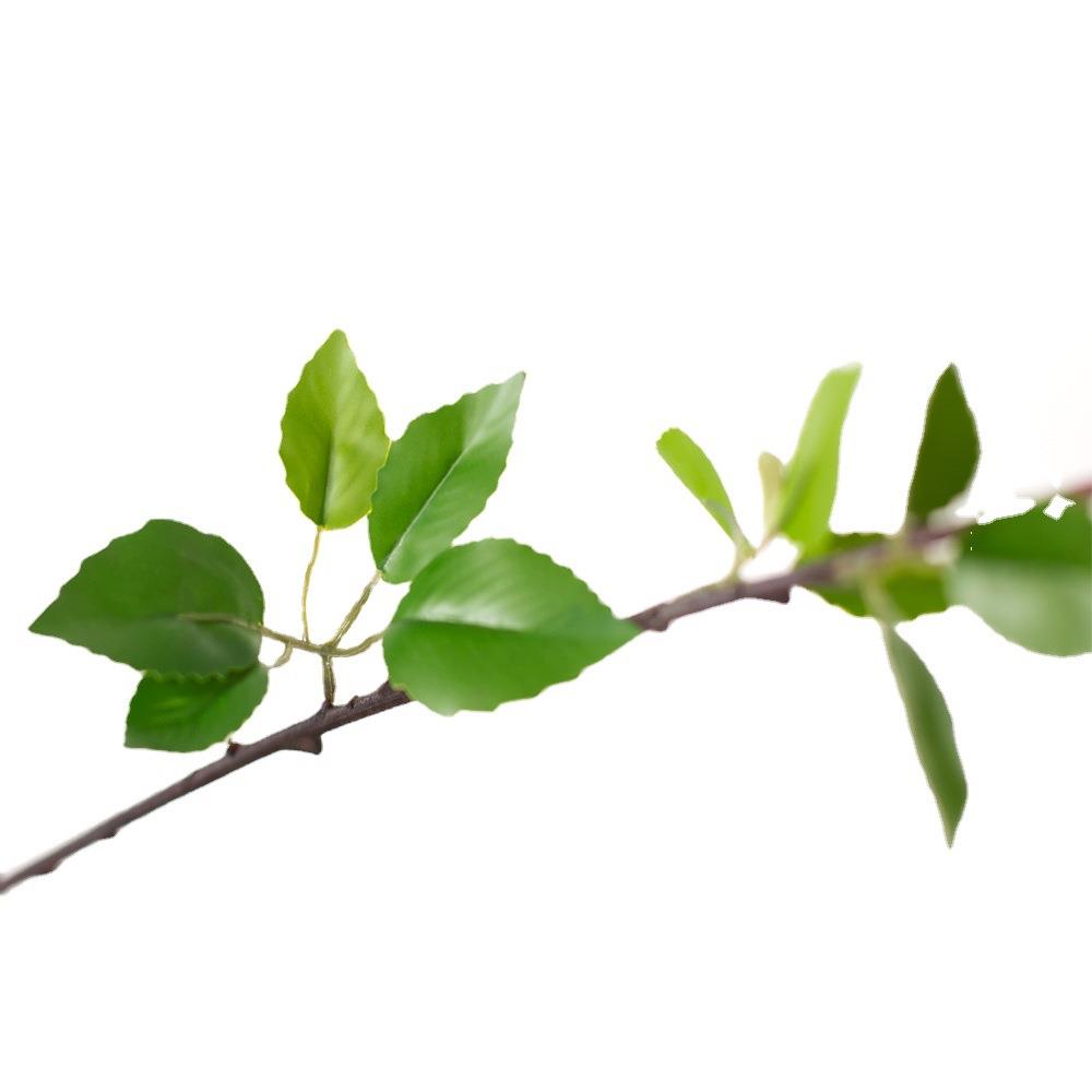 摆件山茶树落地大仿真植物北欧装饰假绿植风椿树客厅ins室内盆栽