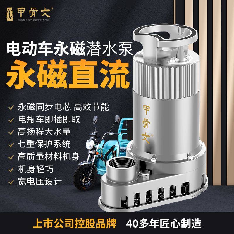 甲骨文便携电瓶车泵48V60V72V