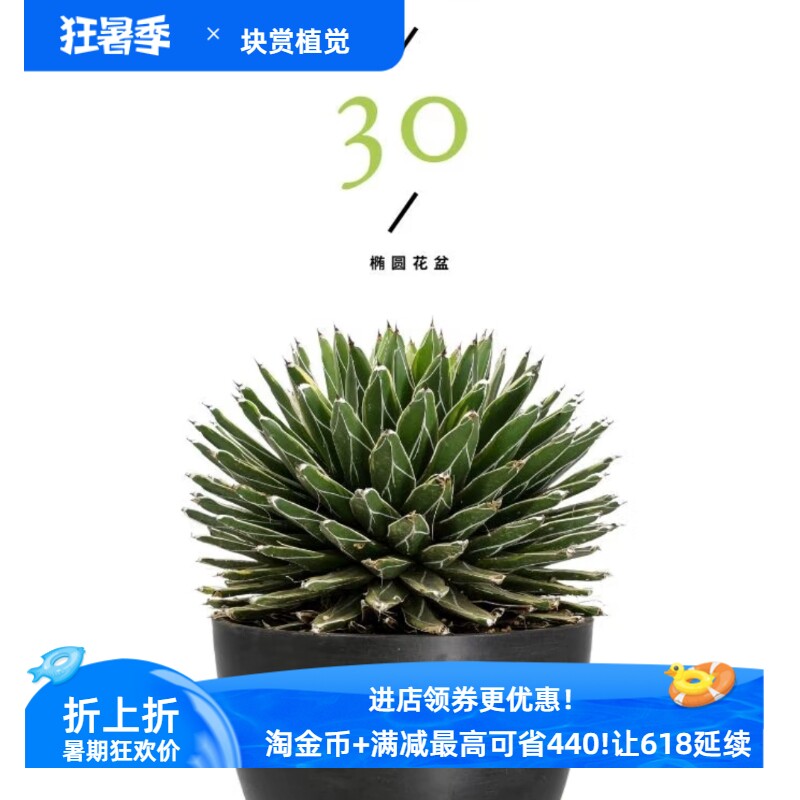 加厚simpots蛋型30-50日本黑胶花盆适配龟背竹龙舌兰小天使绿植盆