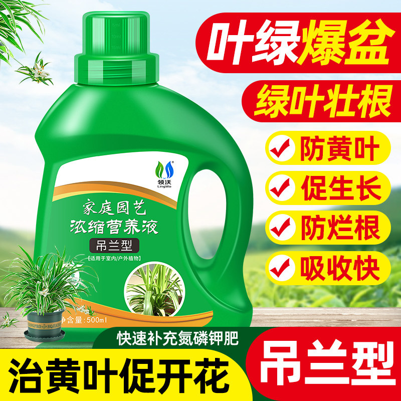 极速吊兰肥料专用营养液金边吊兰家用水土培盆栽植物养花通用型液