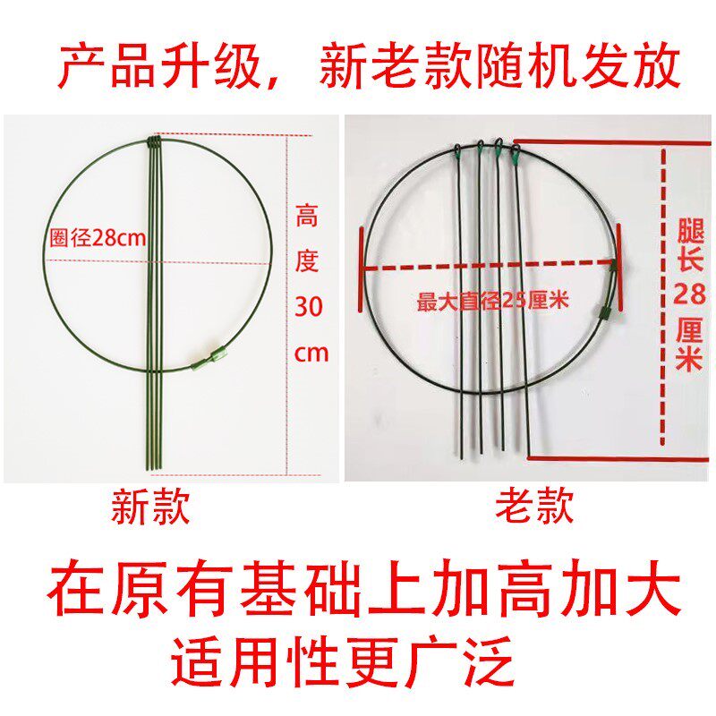 极速室内固定蟹爪兰昙花花苞支撑支架蟹爪莲盆栽兰花专用固定架花