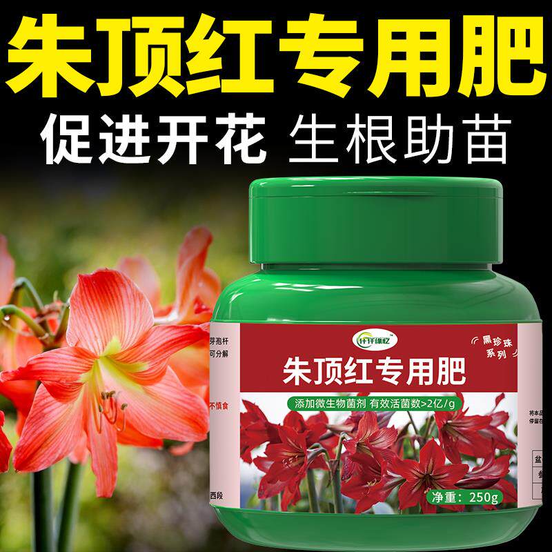 极速朱顶红专用肥花卉肥料绿植有机复合促花绿植促进开花种花通用