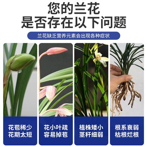 好货兰灵王兰花专用营养液肥料EM菌君子兰蝴蝶建兰墨兰石斛促花活