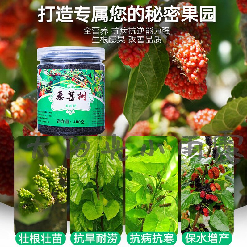 极速桑葚树专用肥料有机复合肥水果树肥盆栽果树杨梅种植肥