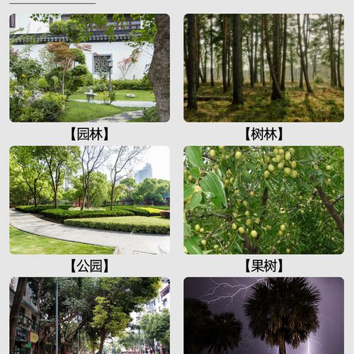 极速高枝锯树锯伸修枝果树进口修高枝锯片园林工具伸缩杆加长杆