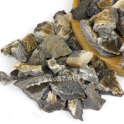 马掌花卉植物花盆底介质肥料马蹄片肥盆地垫底防止土壤结块不透水