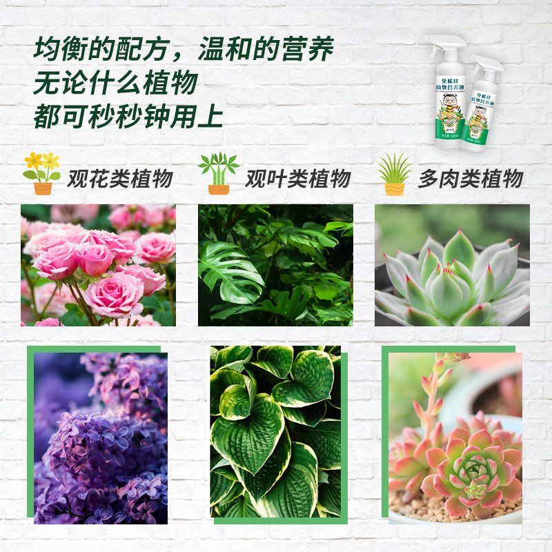 极速德沃多免稀释营养液植物通用肥料室内盆栽发财树养花卉绿植喷