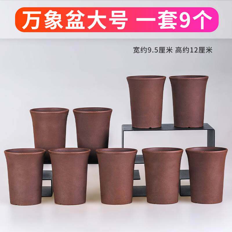 极速新疆西藏包邮玉露十二卷多肉花盆透气粗陶多肉植物小紫砂陶瓷
