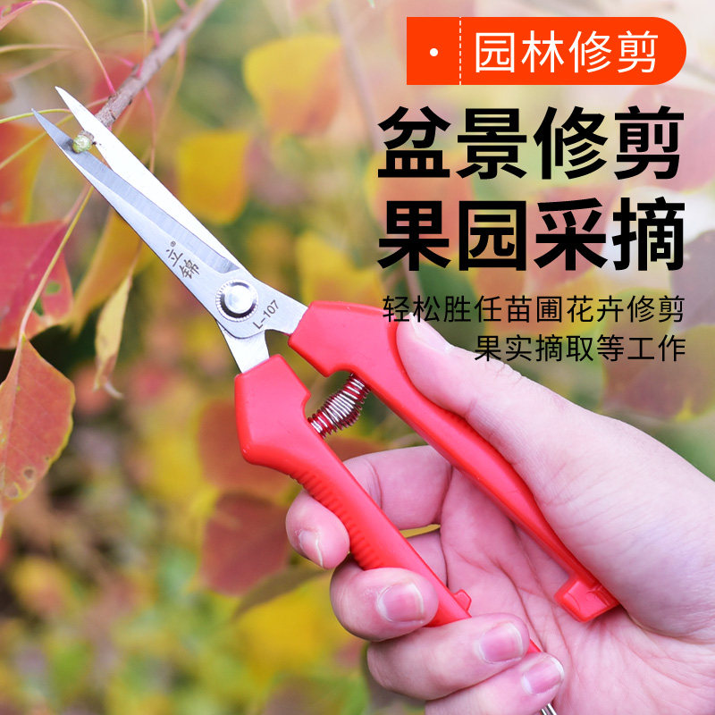 极速不锈钢摘果剪水果剪刀采果剪柑橘葡萄火龙果稀果剪果子采摘修